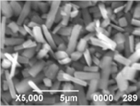 PET背板，创新还是“创心”？