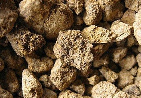 我国初次在东南升平洋发现大面积富稀土沉积