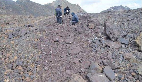 锌价值近期上涨但持久来看锌价值将着落